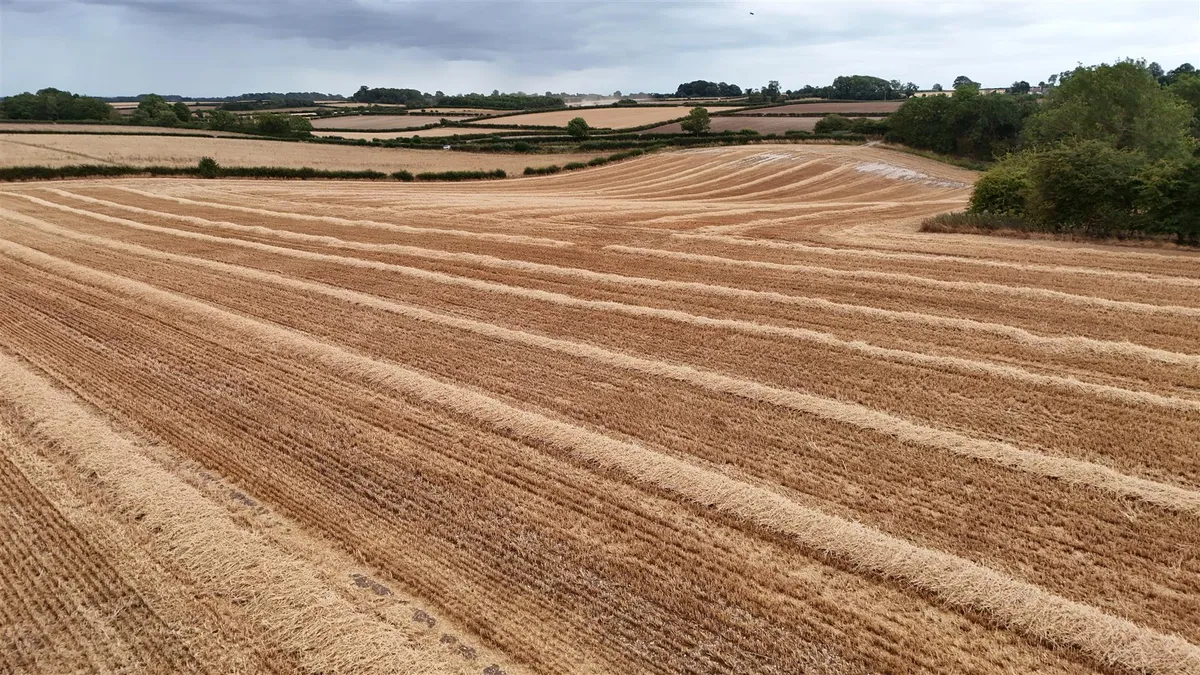 Driffield