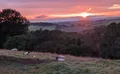 Property image gallery