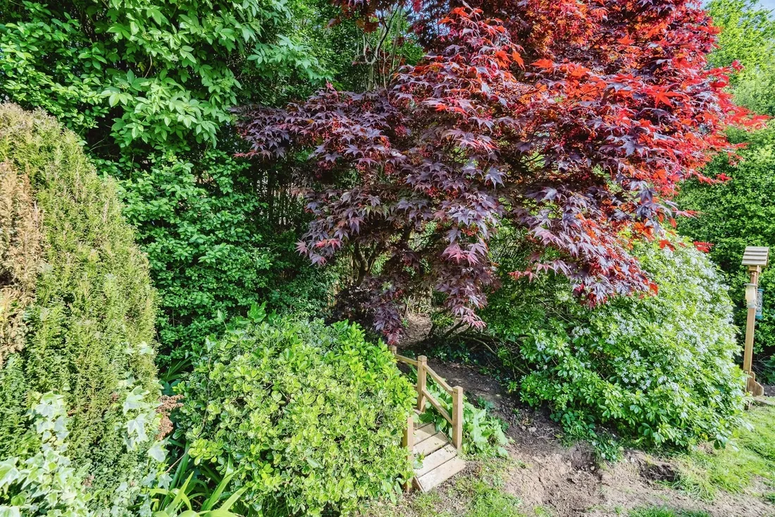 Property photo 25