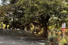 Alport Lane, Youlgrave, BAKEWELL