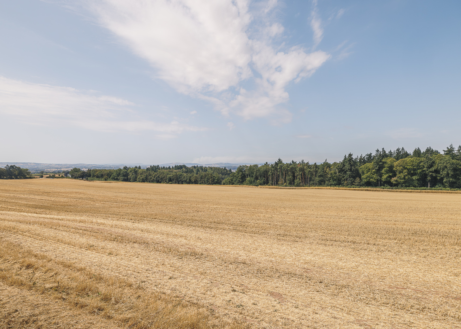 Old Gore, Ross-on-Wye, Herefordshire, HR9 Image 26