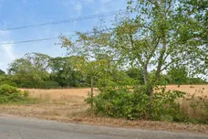 Old School Road, Guestwick, Dereham