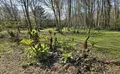 Property image gallery