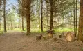 Property image gallery