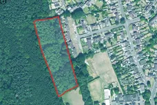 The Grove, Pembury, TUNBRIDGE WELLS