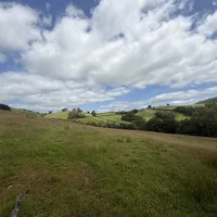Property 20