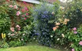 Property image gallery