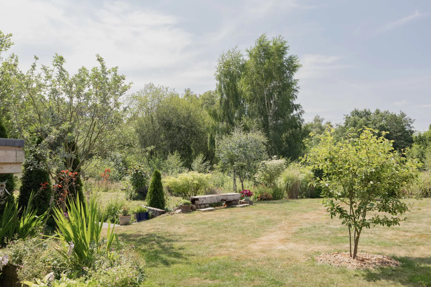 South Walsham Road, Panxworth, NR13 photo 38