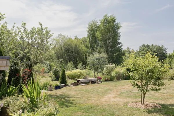South Walsham Road, Panxworth, NR13 photo 38
