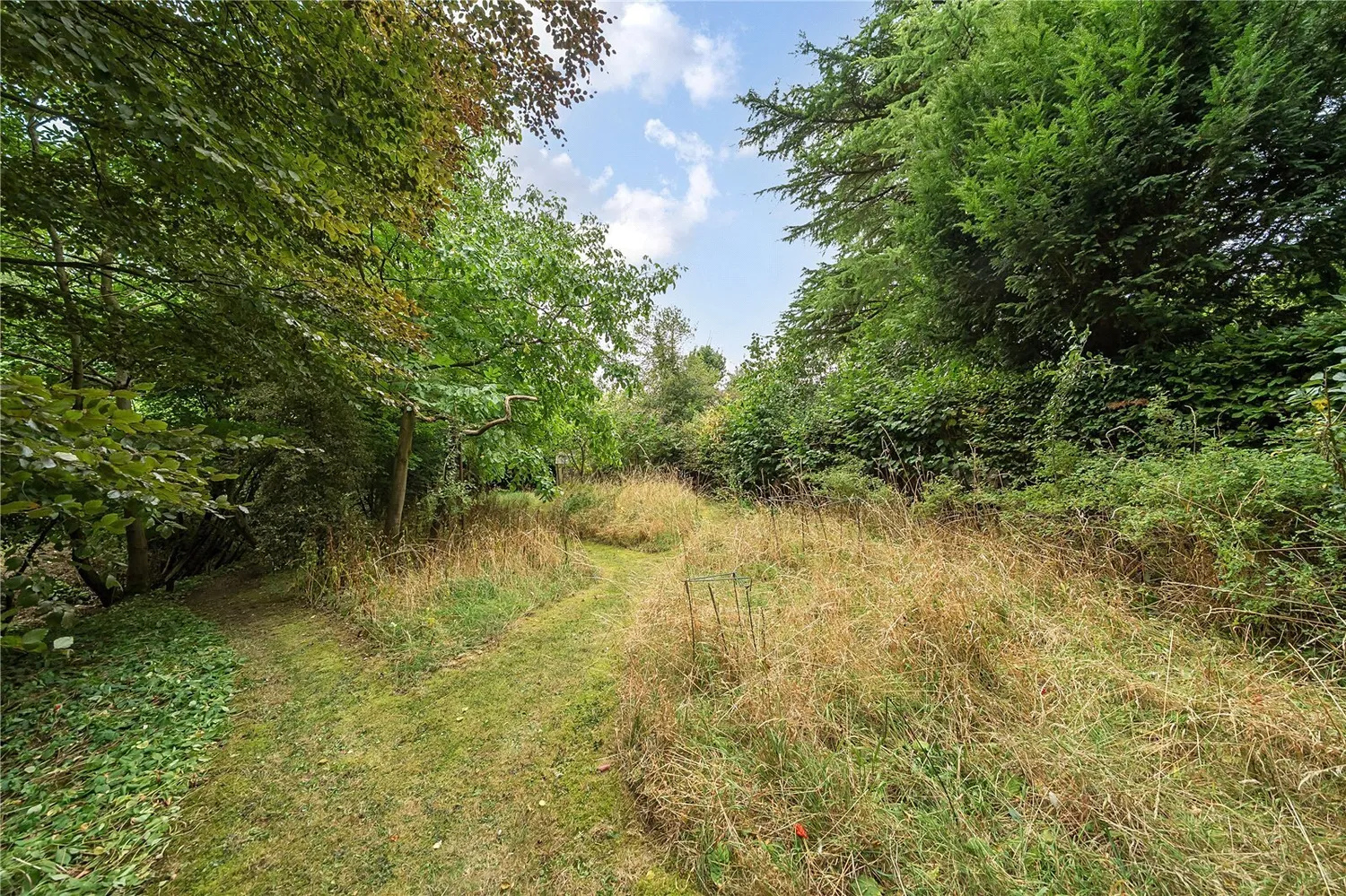 The Street, Walsham le Willows, IP31 photo 21