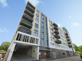 Wych Elm, HARLOW photo