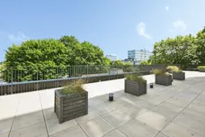 Wych Elm, HARLOW