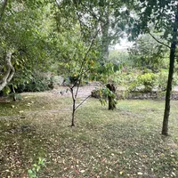 Property 24