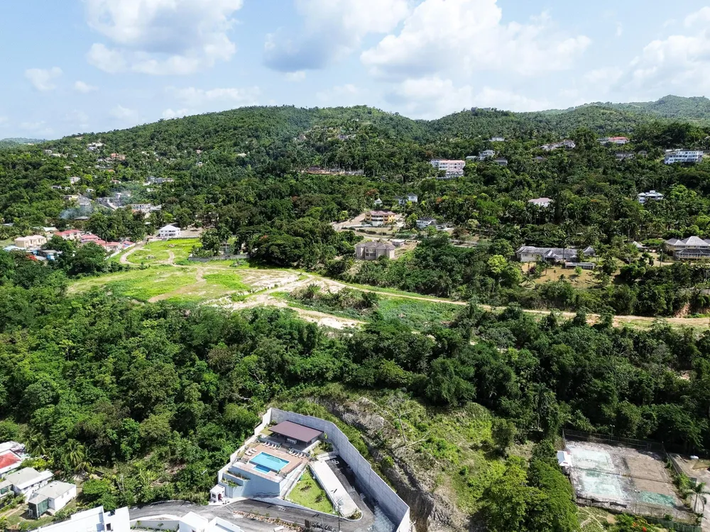 SHAW PARK St. Ann