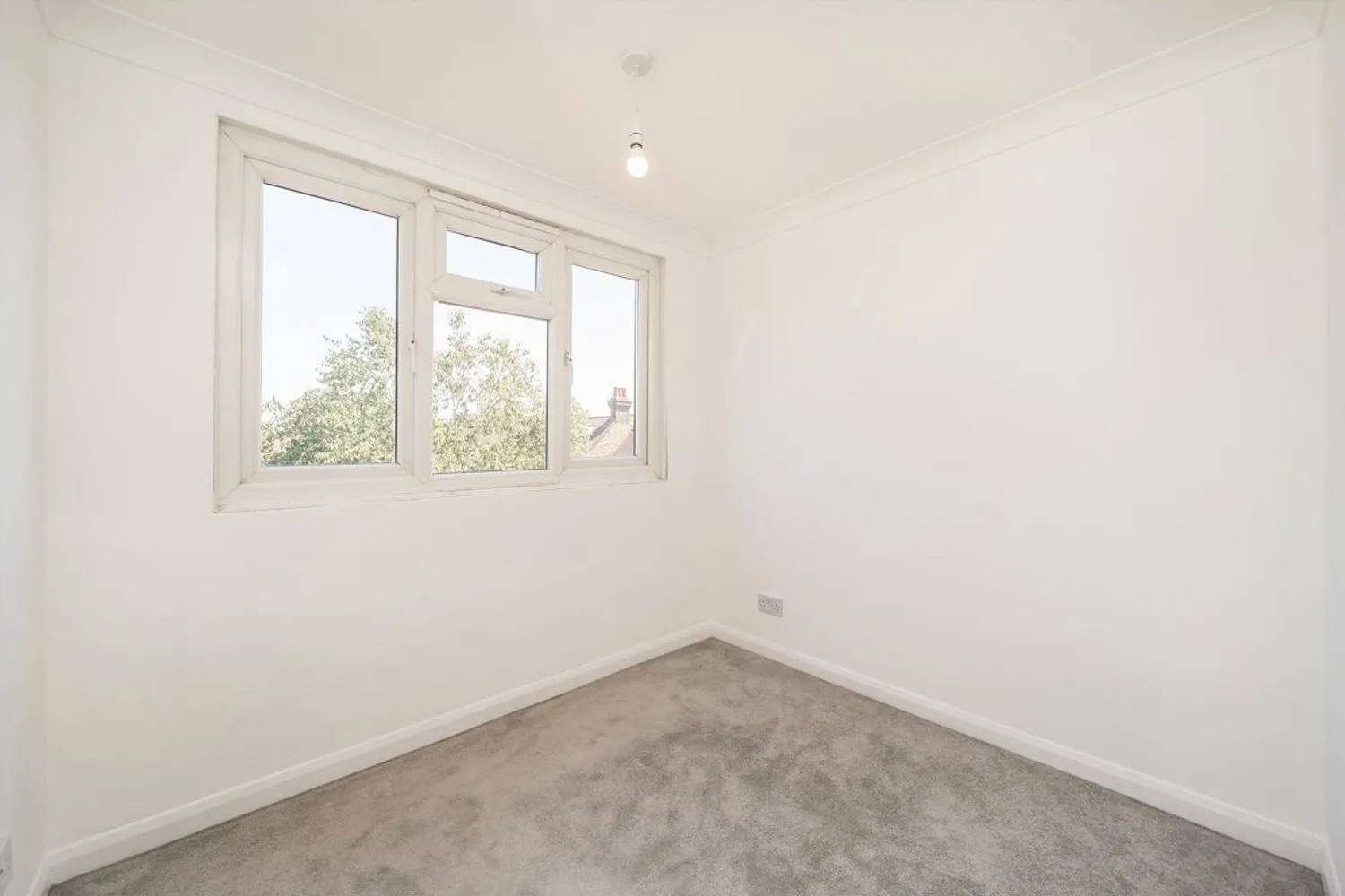 Manor Grove, Richmond, TW9 photo 7