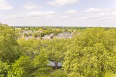 Henry Macaulay Avenue, Kingston Upon Thames, KT2 photo 14