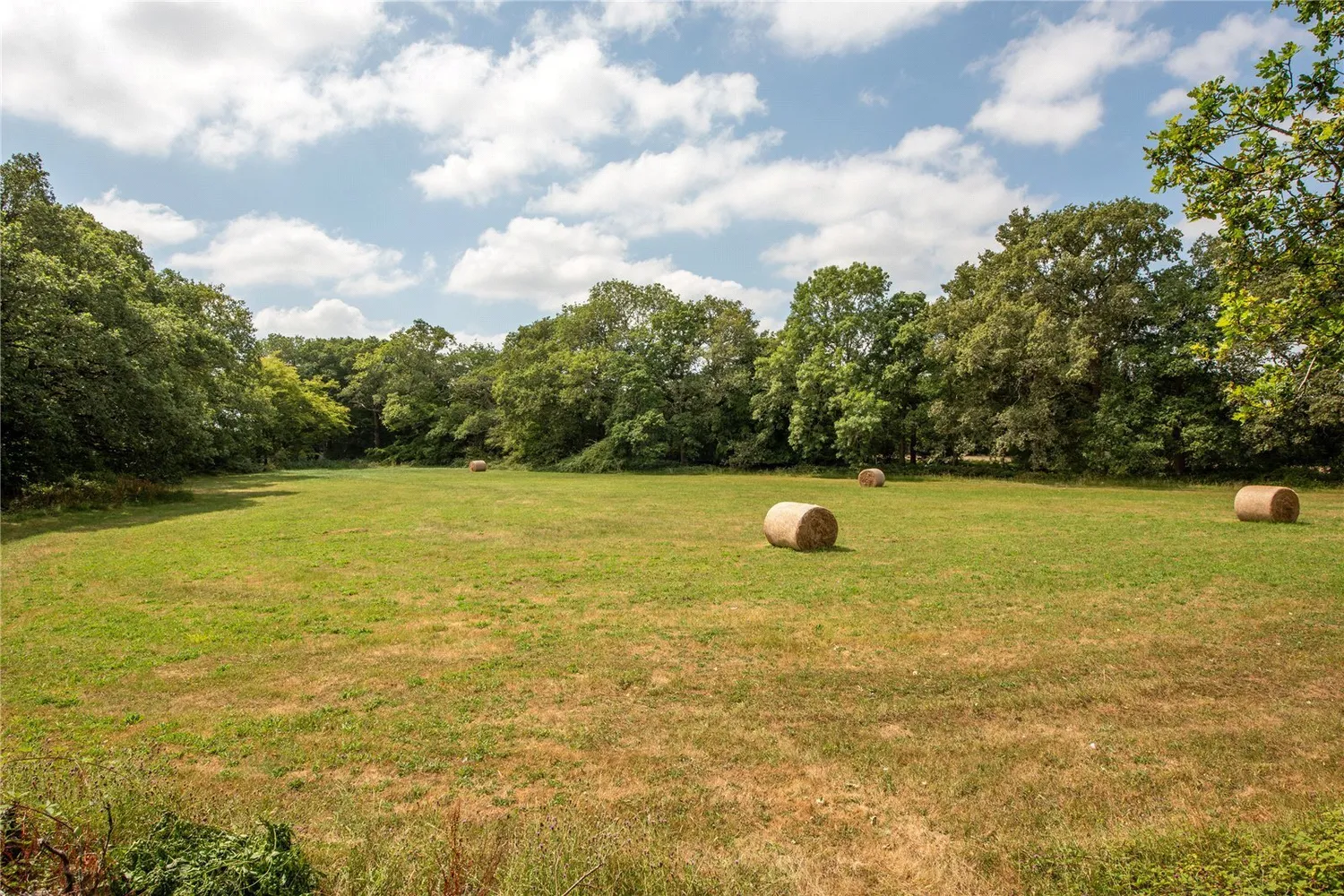 Partridge Lane, Rusper, RH12 photo 18