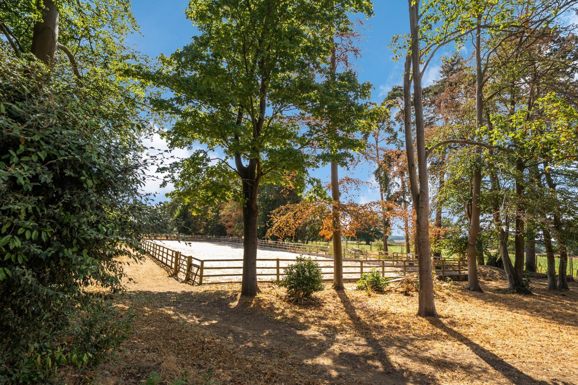 Puttenham, Guildford, Surrey Image 3