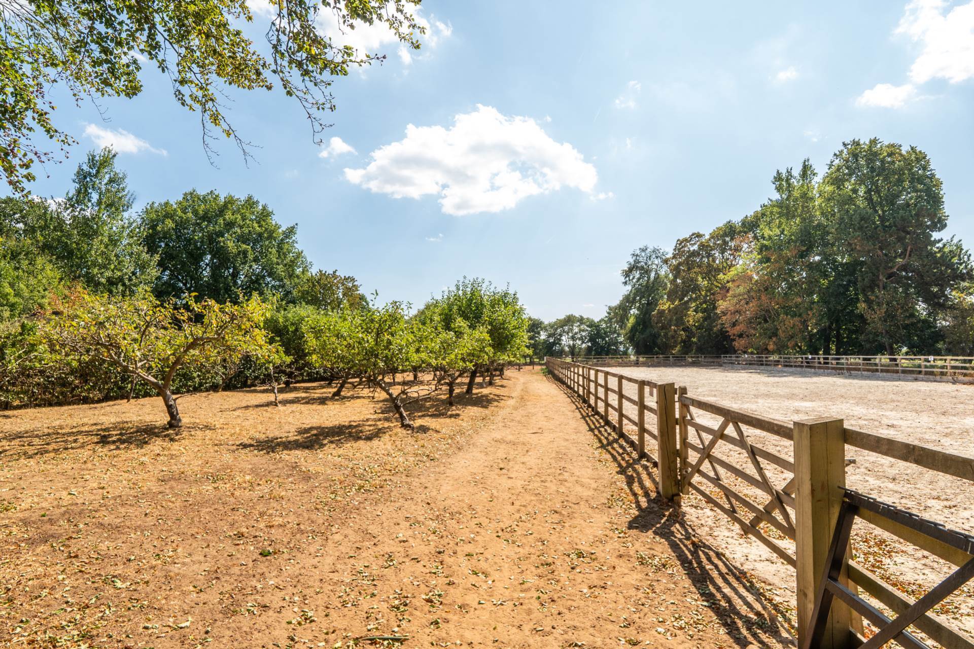 Puttenham, Guildford, Surrey Image 25