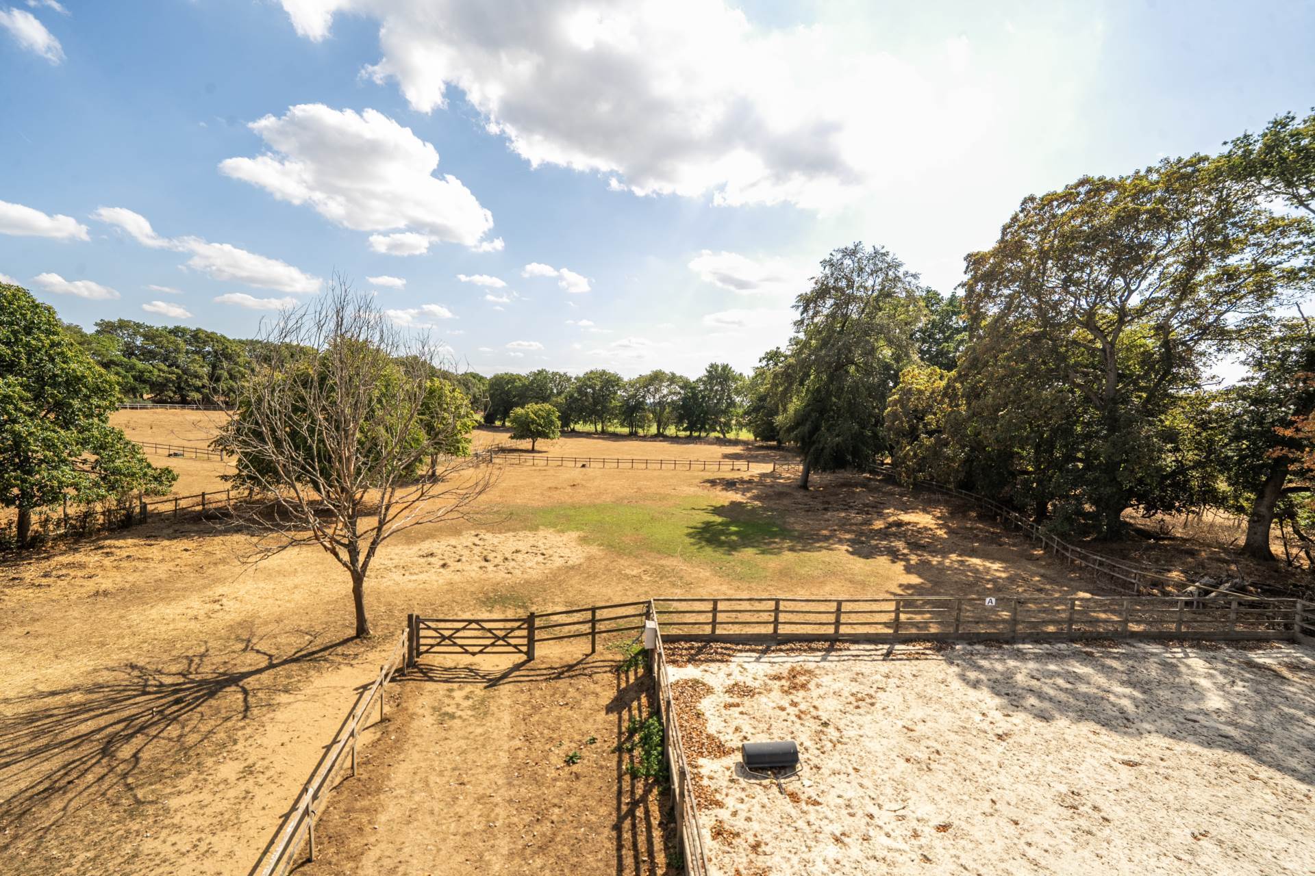 Puttenham, Guildford, Surrey Image 26