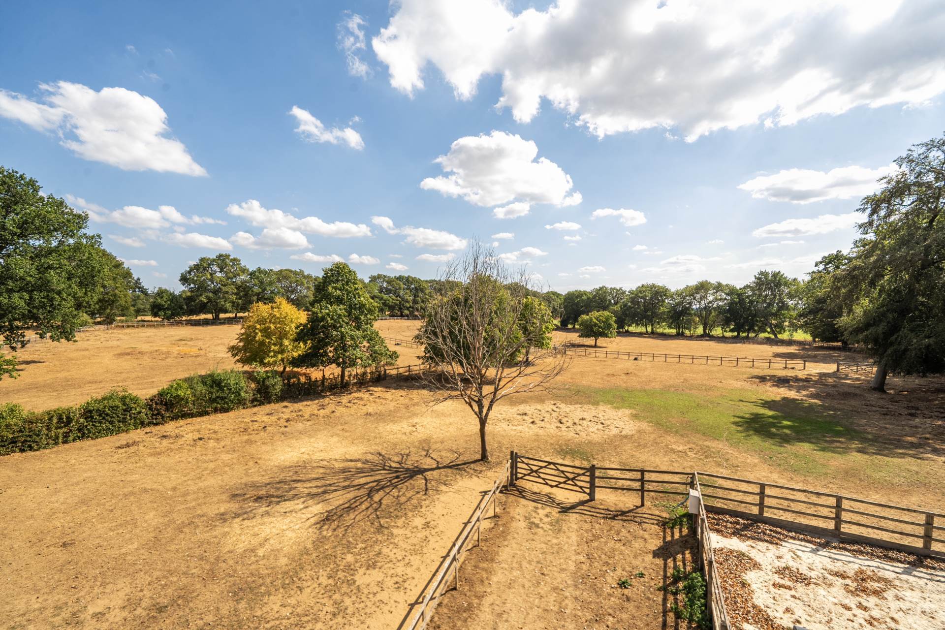 Puttenham, Guildford, Surrey Image 29
