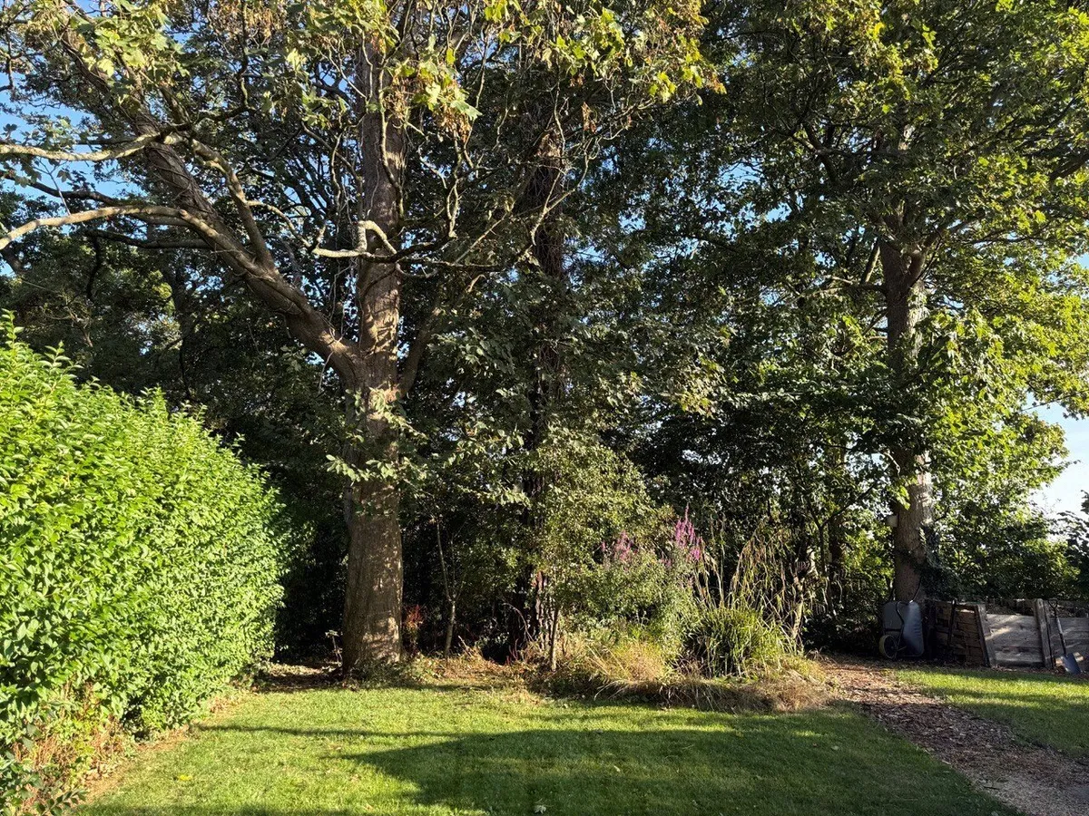 Criccieth, Gwynedd, LL52
