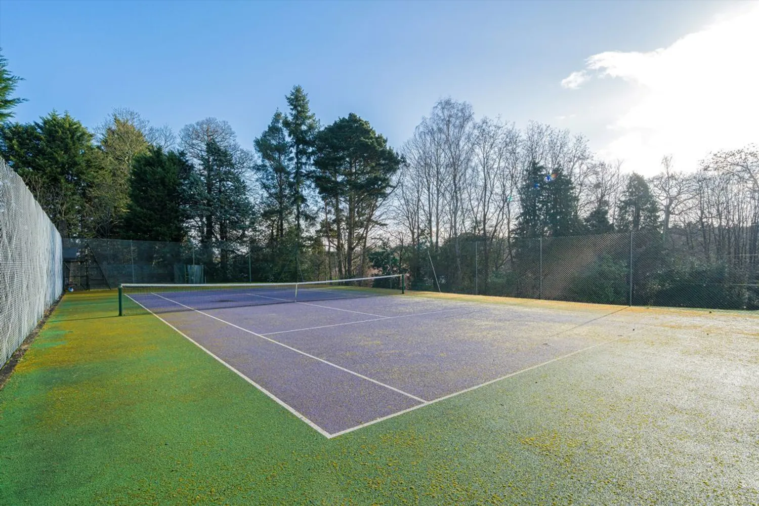 Blackhills, Esher, KT10 photo 16