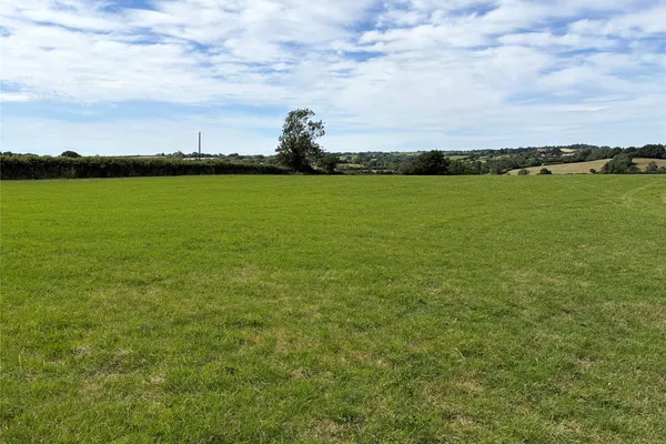 Agent's photo: 3.7-acre farmland in Regil