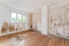 Paddocks Drive, Newmarket