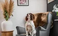 Property image gallery