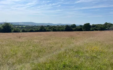 Callington