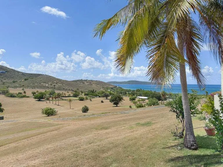 133 Teagues Bay EB, The Reef St. Croix St. Croix