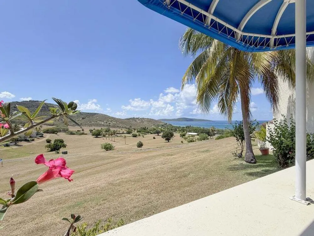133 Teagues Bay EB, The Reef St. Croix St. Croix