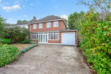 Wallace Fields, Epsom
