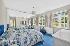 Wallace Fields, Epsom