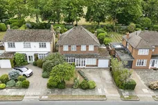 Wallace Fields, Epsom
