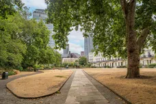 Lindsay Square, London, SW1V photo 14