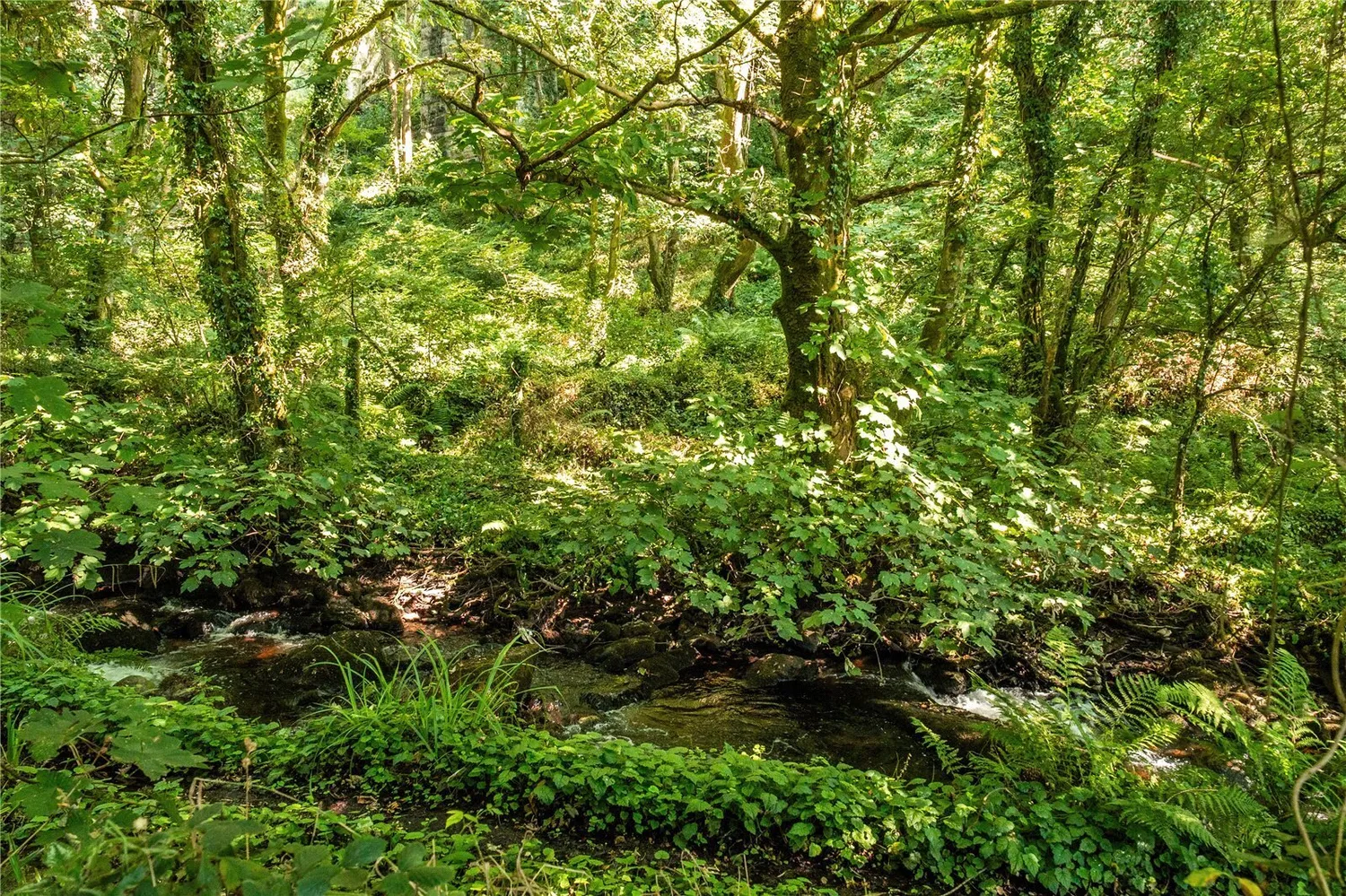 Lowertown, Helston, TR13 photo 13