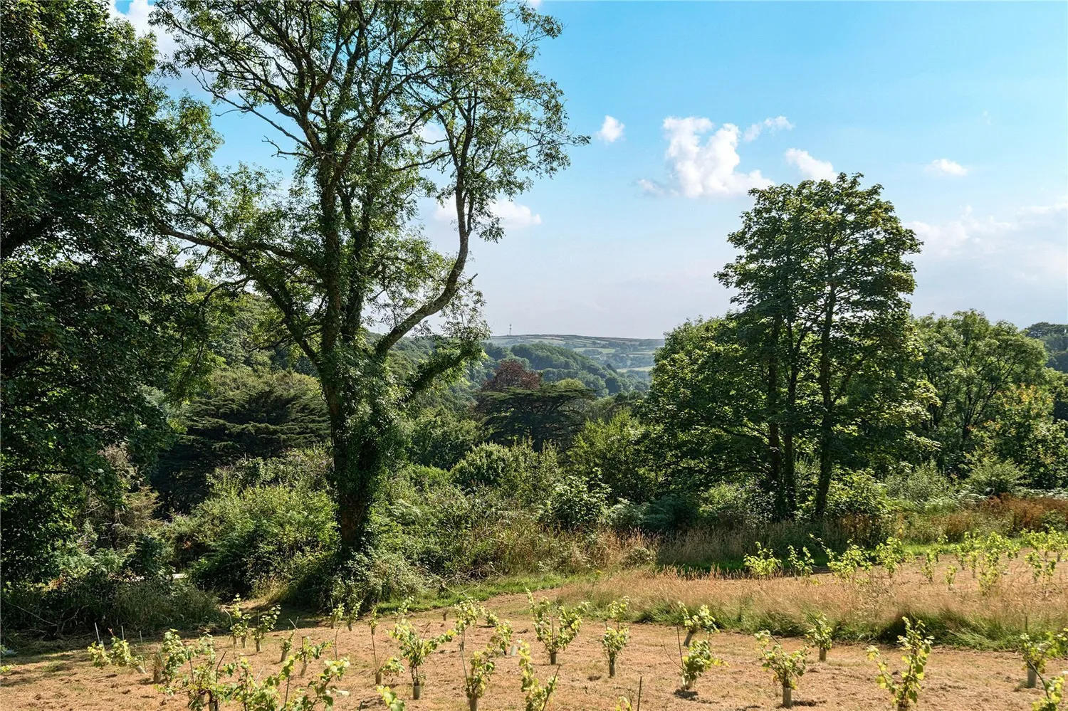 Lowertown, Helston, TR13 photo 21