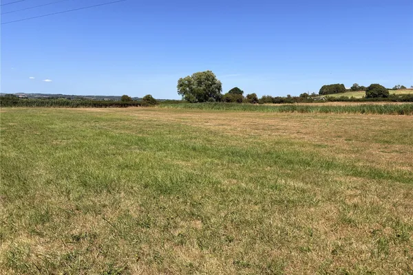 Agent's photo: 5.8-acre farmland in North Curry