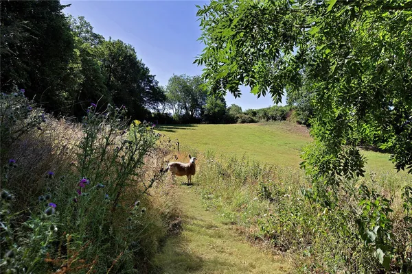 Trusham, Teign Valley, TQ13 photo 28
