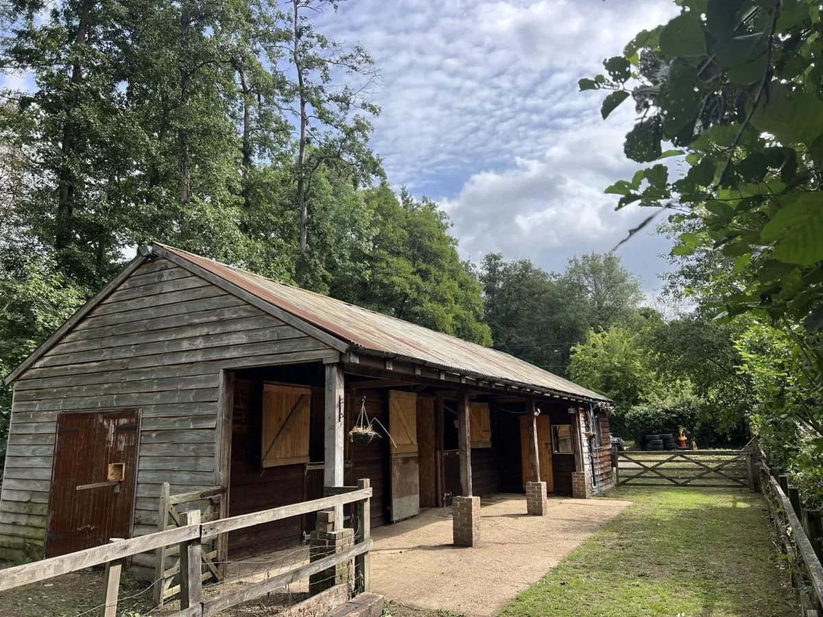 Hascombe, Surrey
