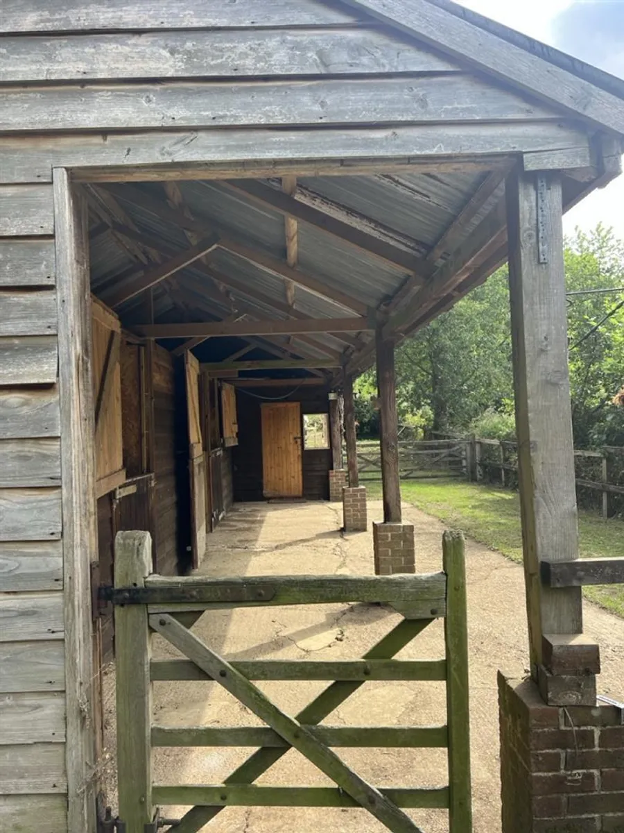 Hascombe, Surrey