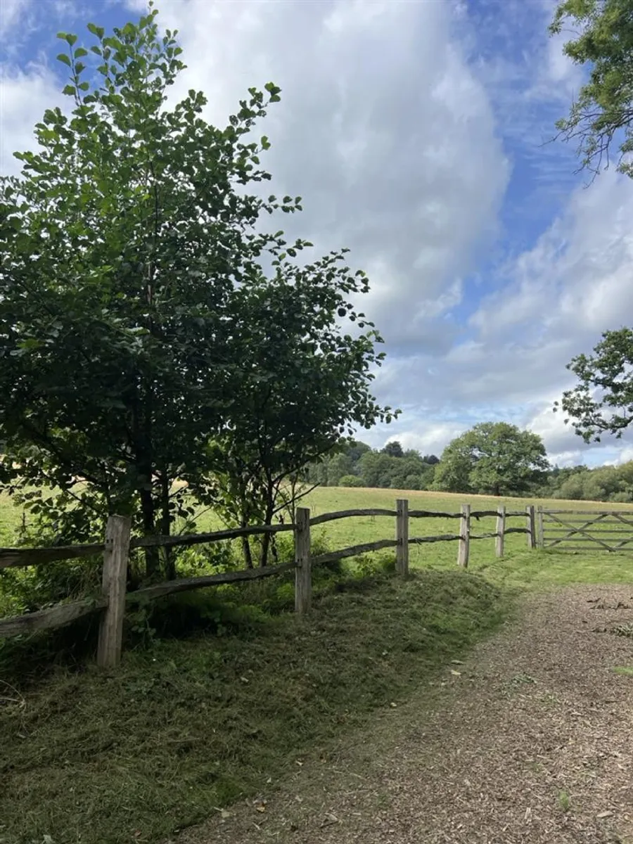 Hascombe, Surrey