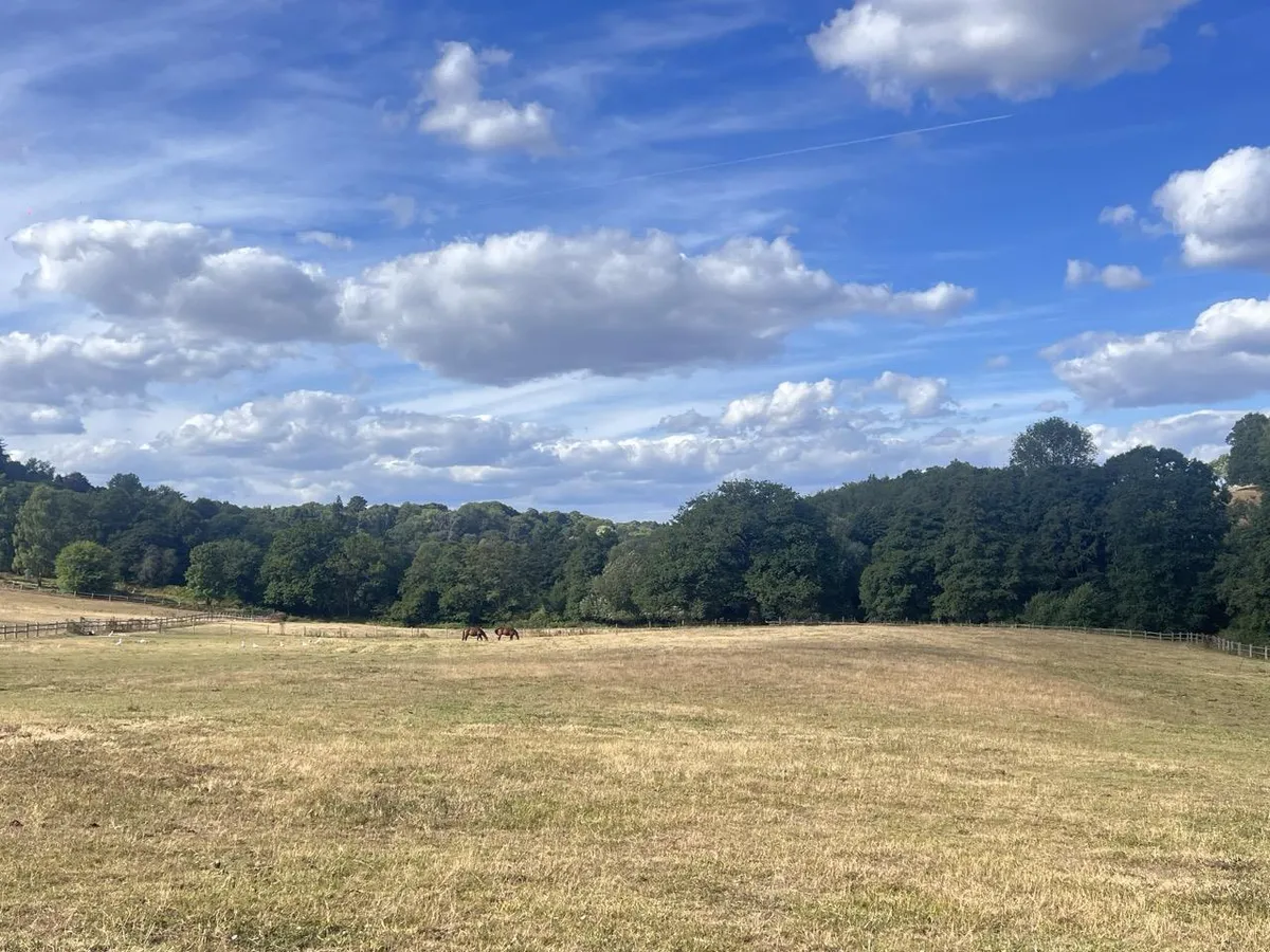 Hascombe, Surrey