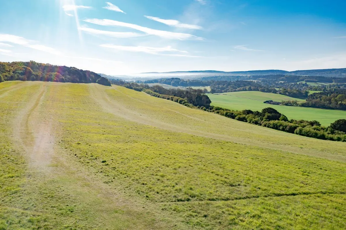 Hascombe, Surrey