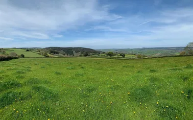 Bovey Tracey, Newton Abbot