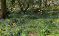 Property image gallery