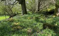 Property image gallery