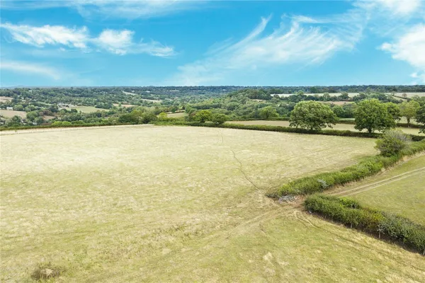 Agent's photo: 43.34-acre woodland in Cullompton
